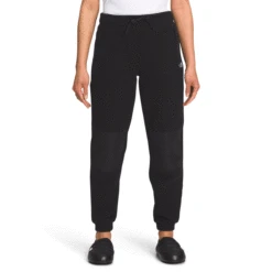 The North Face Alpine Polartec 200 Pant Womens